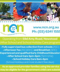 Northern Childrens Network